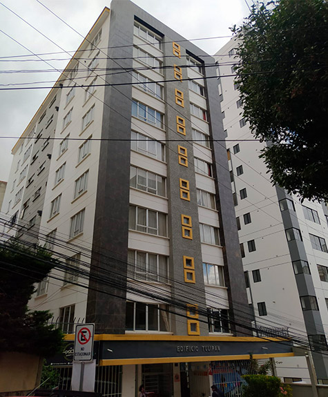 tulipan_sopocahi